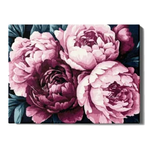 Peoniju ziedlapiņas